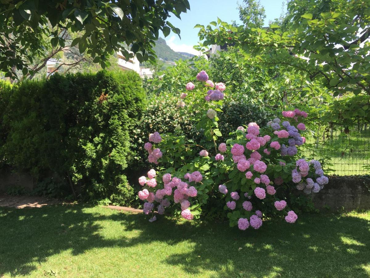 Apartment Villa Huber Bolzano Luaran gambar